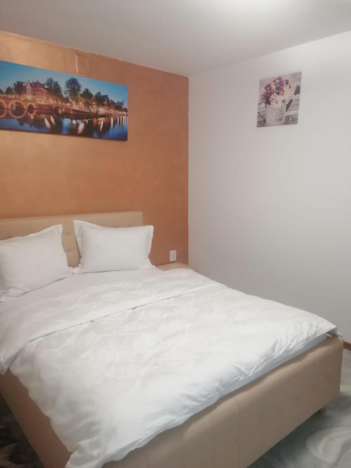 Casa Muresan Kolozsvár Kültér fotó